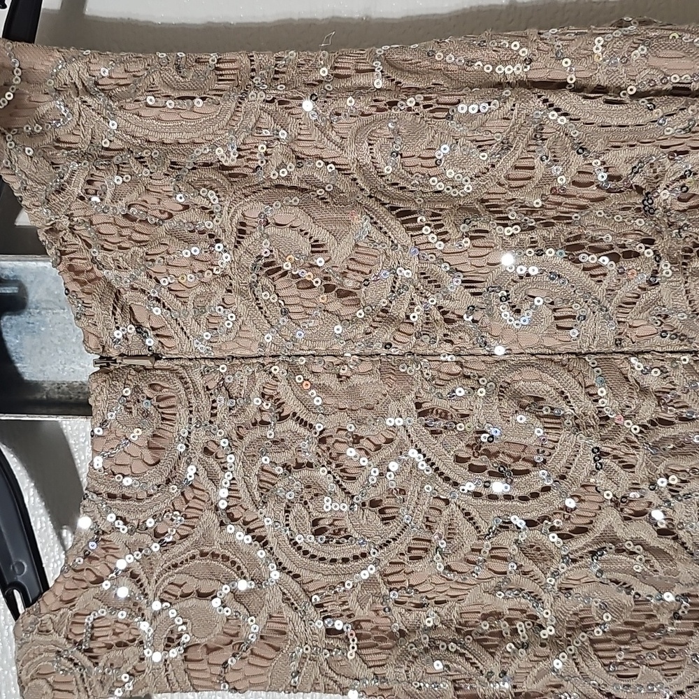 Alex Evenings Taupe Sequin Lace Maxi Dress - Picture 5 of 7